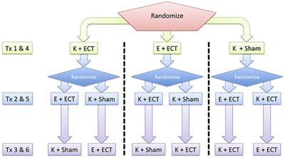 Cognitive and Neurophysiological Recovery Following Electroconvulsive Therapy: A Study Protocol